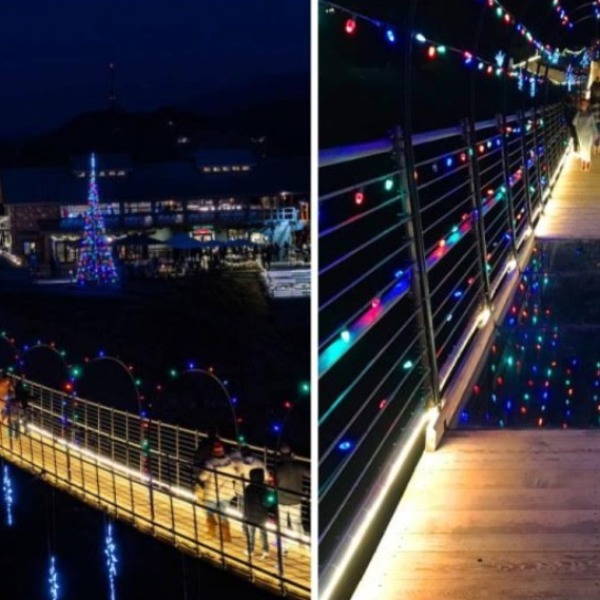 SkyBridge � ����������� ����������� ������ � ����� �������������� ����������